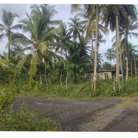 LAND SALE IN PADUKKA