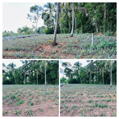 LAND FOR SALE IN KADAWATHA