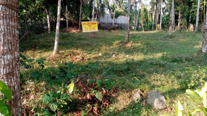 Land for Sale In Kiridiwela