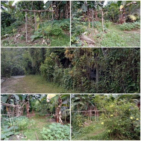 Land For Sale In Homagama