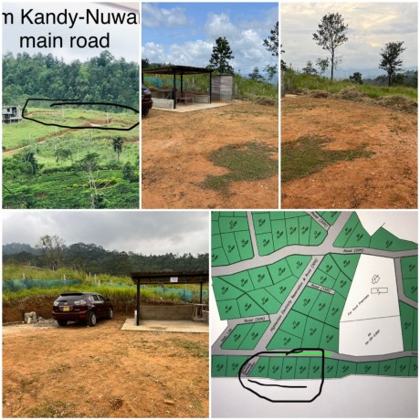 Land for sale in Pussellawa