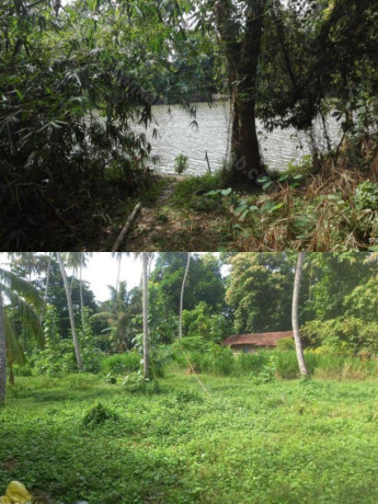 LAND FOR SALE IN DANKOTUWA