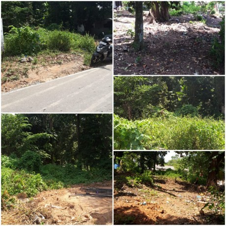 Land For Sale In Pilimatalawa