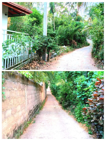 LAND FOR SALE IN MAHANUWARA