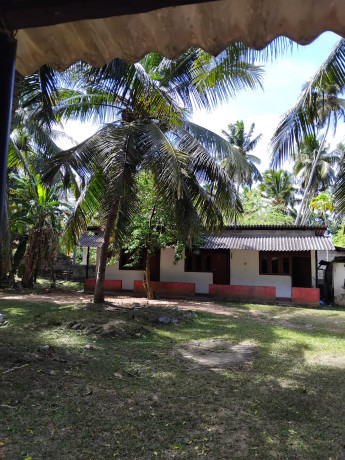 Land For Sale in Katunayaka Pallewewa