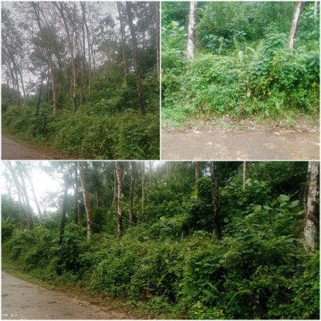 Land for Sale In Matugama