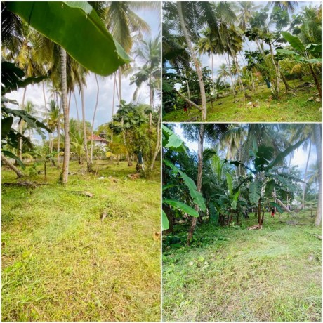 Land For Sale In Bentota