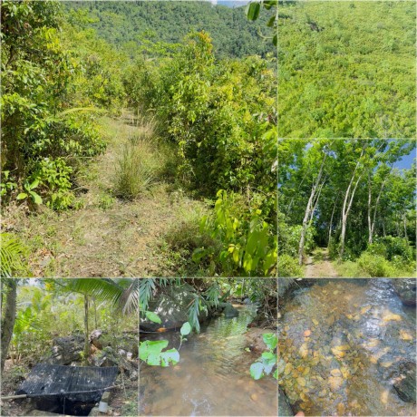 15 Acres Land for Sale in Pitigala