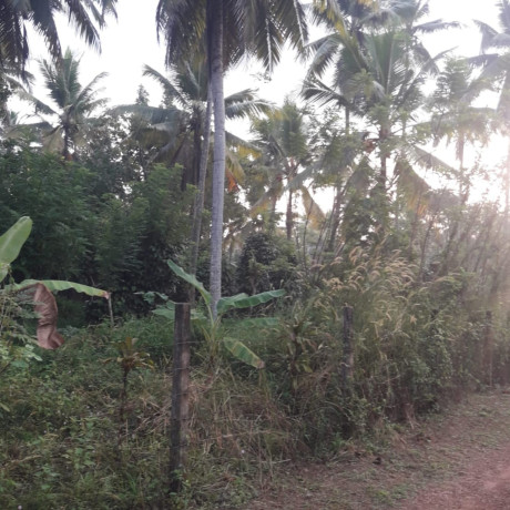 LAND FOR SALE IN DIVULAPITIYA