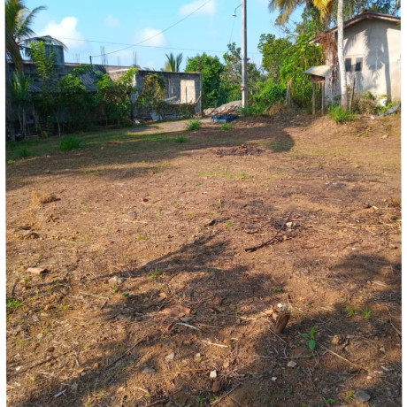 LAND FOR SALE IN HOMAGAMA