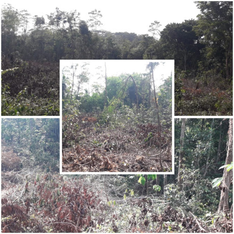 LAND FOR SALE IN HORANA