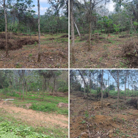 LAND FOR SALE IN AMITHIRIGALA