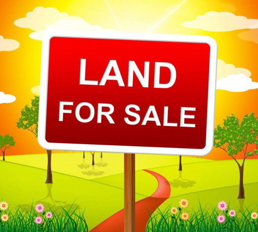Land For Sale in Homagama