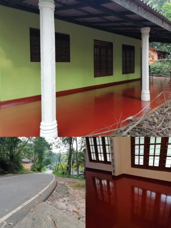 House with land sale in Mawanella