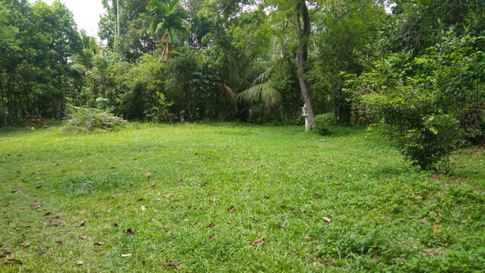 Land Sale