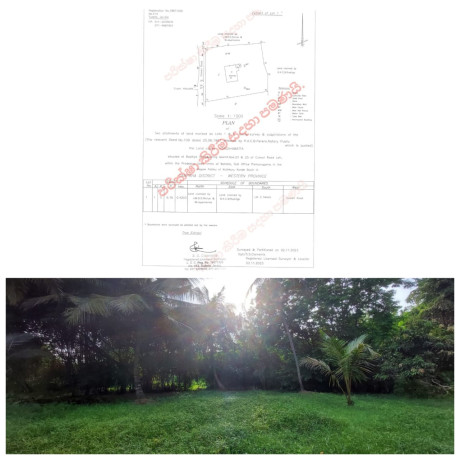 LAND FOR SALE IN JA - ELA