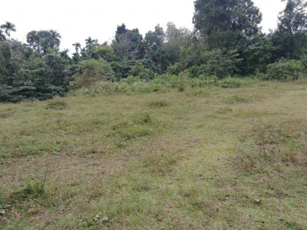 Land for Sale in Padukka