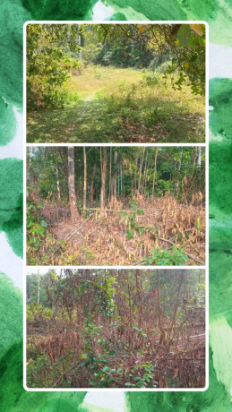 LAND FOR SALE IN GAMPAHA