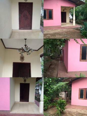 House with land sale in Waliweriya