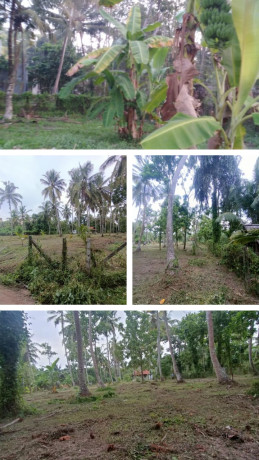 LAND FOR SALE IN MARAWILA