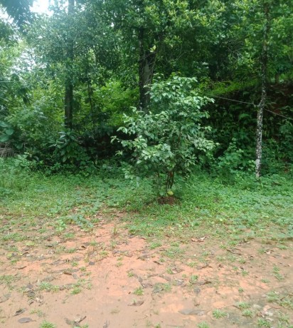 Land for Sale in Mathugama