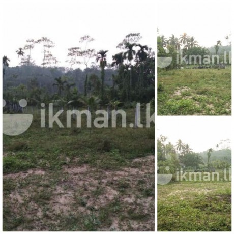 Land For Sale In Horana