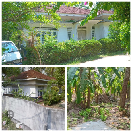 LAND FOR SALE IN THALPE