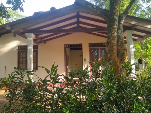 Land with House for Sale In Ranala