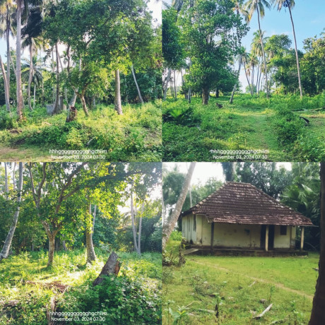 LAND FOR SALE IN TRINCOMALEE