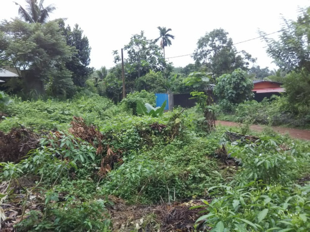 LAND FOR SALE IN HORANA