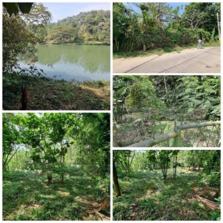 Land For sale In Kandy