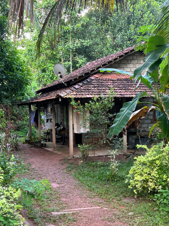 House For Sale in Katana Mawanalla