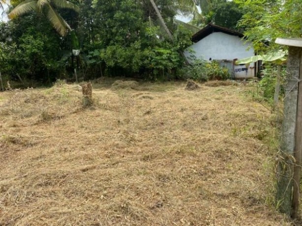 Land for Sale in Kadawatha Gonahena