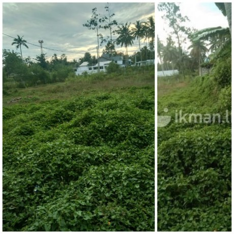 Land for Sale at Negombo,Miriswatta