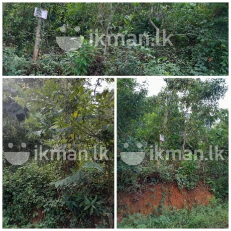 Land For Sale In  Bandaragama