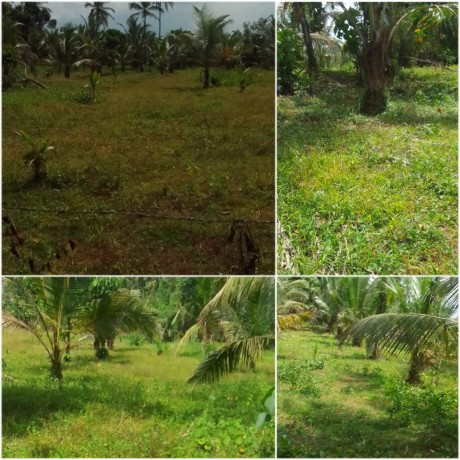 Land For Sale In Urapola - Gampaha