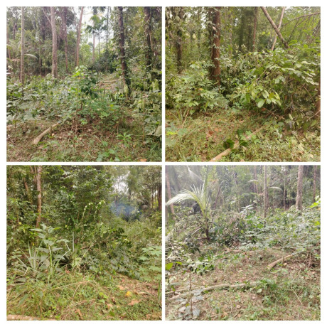 LAND FOR SALE IN MONARAGALA