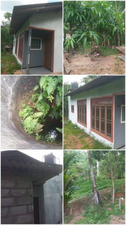 Land with House for Sale -  Walpola