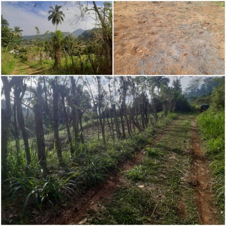 Land Sale in Mawanella