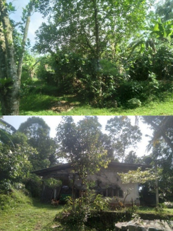 Land of 4 Acres for Sale with a House - Udumulla