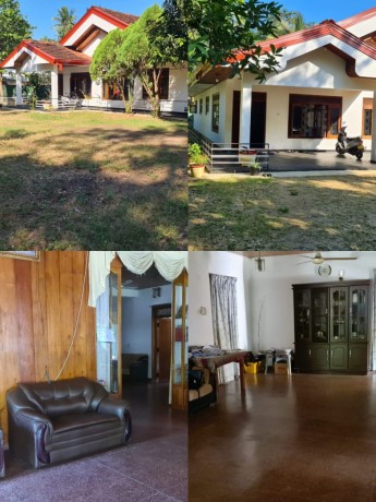 House with land Sale in Buttala