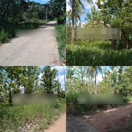 Land for Sale in Dambulla