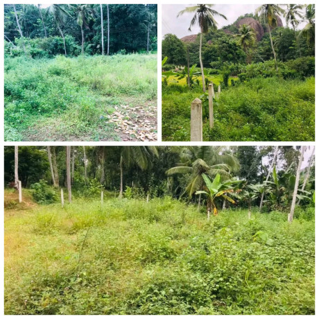 LAND FOR SALE IN MIRISWATHTHA