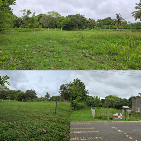 LAND FOR SALE IN ANURADAPURA