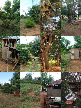 Land for Sale Nearby Katharagama Dewalaya