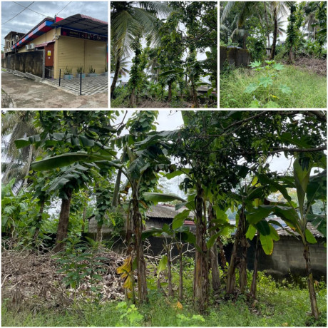 LAND FOR SALE IN PANADURA