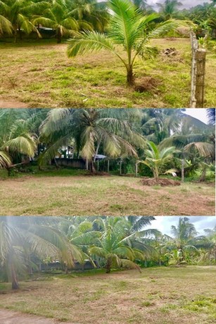 Land for sale in Chilaw