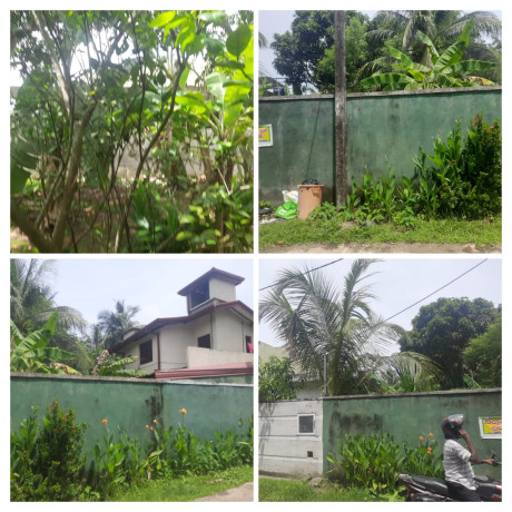 LAND FOR SALE IN PANADURA