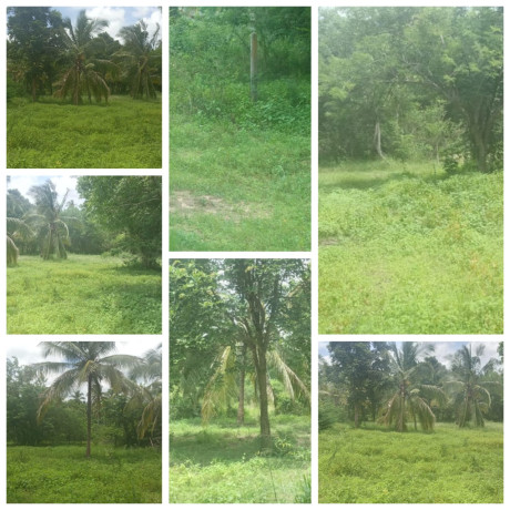 LAND FOR SALE