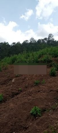 Land for sale in Haputale